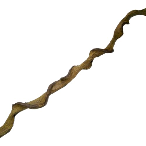 REPTI ZOO Dschungel Liane (biegsam+verformbar) (RV0330) Längen 120cm (RV1320) von REPTI ZOO