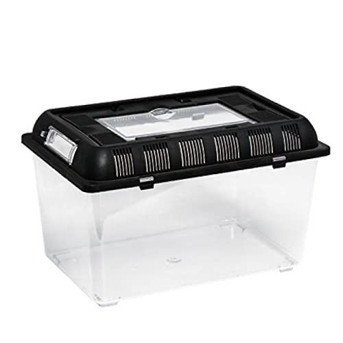 REPTI ZOO Plastik Terrarium (Flat Box) medium 32,5x22x21 cm (RT2003B) von REPTI ZOO