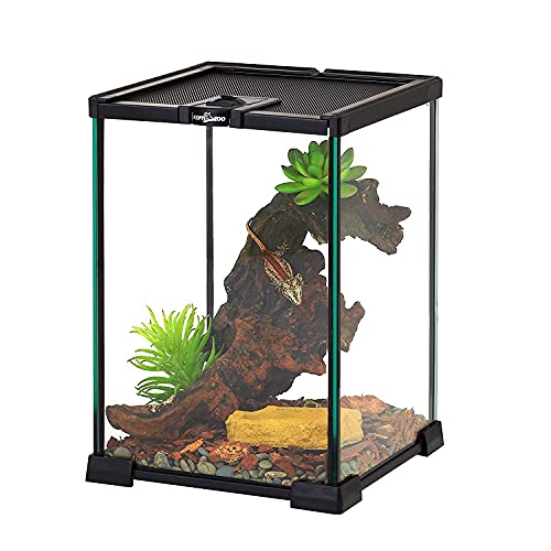 REPTI ZOO Terrarium AK 21X21X30 von REPTI ZOO