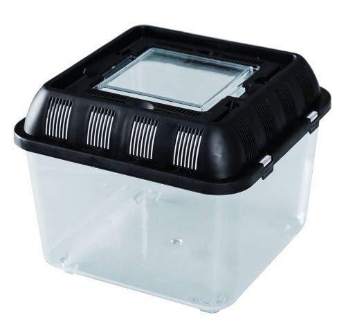 ReptiZoo Plastik Terrarium (Flat Box) Mini 20,5x20,5x17 cm (RT2001B) von REPTI ZOO