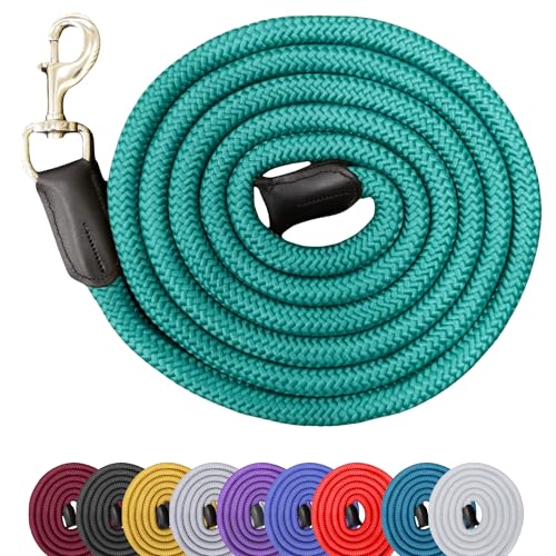 2,7 m langes Nylon-Pferdehalfter, 1,9 cm dick, stark und bequem, mit robustem Schnappverschluss für Training und Handhabung 2,7 m langes Nylon-Pferdehalfter, 1,9 cm dick, stark und bequem, mit robustem Schnappverschluss für Training und Handhabung von RESISTANCE