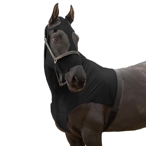 RESISTANCE Premium Horse Hood Pull On with Face - Horse Sleazy Slickers and Horse Care Sheet RESISTANCE Premium Horse Hood Pull On with Face - Horse Sleazy Slickers and Horse Care Sheet von RESISTANCE