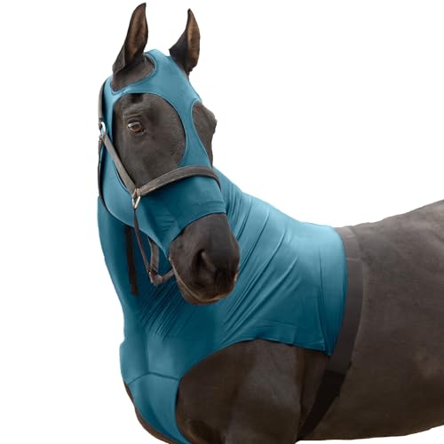 RESISTANCE Premium Horse Hood Pull On with Face - Horse Sleazy Slickers and Horse Care Sheet RESISTANCE Premium Horse Hood Pull On with Face - Horse Sleazy Slickers and Horse Care Sheet von RESISTANCE