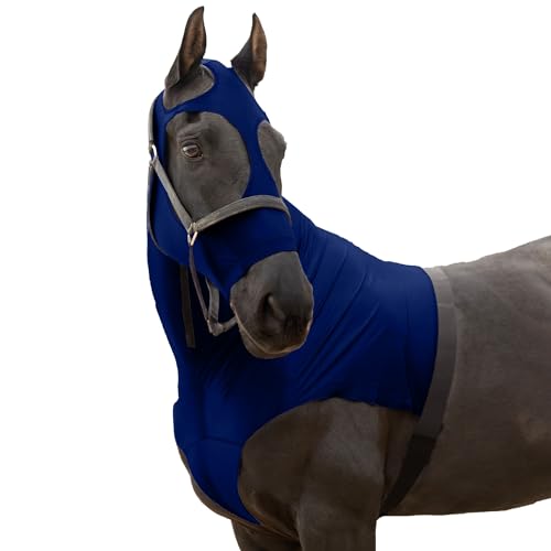 RESISTANCE Premium Horse Hood Pull On with Face - Horse Sleazy Slickers and Horse Care Sheet RESISTANCE Premium Horse Hood Pull On with Face - Horse Sleazy Slickers and Horse Care Sheet von RESISTANCE