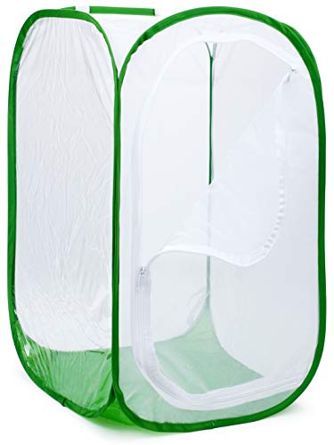 5 Feet Extra Large Monarch Butterfly Habitat, Giant Collapsible Insect Mesh Cage Terrarium Pop-up (White + Green, 35 x 35 x 59 Inches) von RESTCLOUD