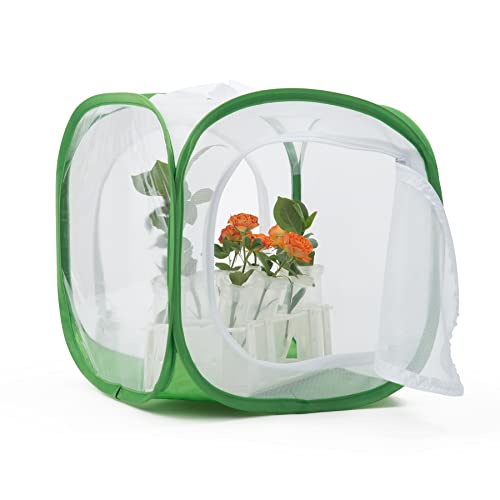 Zweitüriger Monarch-Schmetterlings-Käfig, Insektennetz, Raupengehege, Terrarium, 30,5 x 30,5 x 30,5 cm von RESTCLOUD