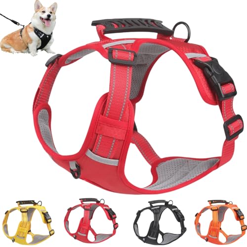 Anti-Zug-Hundegeschirr, reflektierendes, verstellbares und bequemes Brustgeschirr, Sicherheitsgurt für Haustiere im Freien, mit Fallschutz, mit reflektierendem Griff, geeignet für mittelgroße und kle Anti-Zug-Hundegeschirr, reflektierendes, verstellbares und bequemes Brustgeschirr, Sicherheitsgurt für Haustiere im Freien, mit Fallschutz, mit reflektierendem Griff, geeignet für mittelgroße und kle von RETGJNC