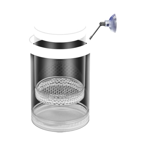 Aquarien Brutkasten Brutkasten mit Netz und Saugnapf für Guppy Bettas Fisch und Garnelen Isolation Zuchtaquarien Zuchtbehälter für Frittieren von RETUOLWAG