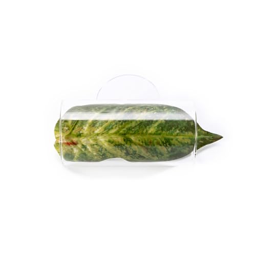 RETUOLWAG Künstliche bunte Wasserpflanze, kleine Aquarium-Dekoration, Landschaft zur Verschönerung des Aquariums, Landschaftsgestaltung, Aquariumpflanze, Acryl, groß RETUOLWAG Künstliche bunte Wasserpflanze, kleine Aquarium-Dekoration, Landschaft zur Verschönerung des Aquariums, Landschaftsgestaltung, Aquariumpflanze, Acryl, groß von RETUOLWAG