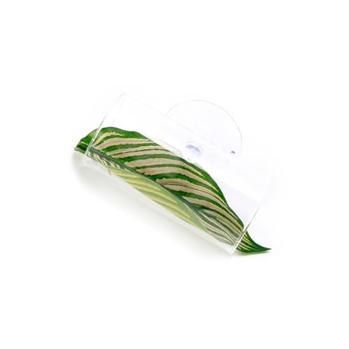 RETUOLWAG Künstliche bunte Wasserpflanze, kleine Aquarium-Dekoration, Landschaft zur Verschönerung des Aquariums, Landschaftsgestaltung, Aquariumpflanze, Acryl, groß RETUOLWAG Künstliche bunte Wasserpflanze, kleine Aquarium-Dekoration, Landschaft zur Verschönerung des Aquariums, Landschaftsgestaltung, Aquariumpflanze, Acryl, groß von RETUOLWAG