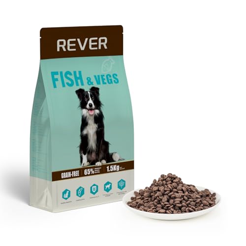 Rever EB15 Trockenfutter für Erwachsene Hunde, getreidefrei, mit frischem Lachs, proteinreich mit 65% Inhaltsstoffen tierischen Ursprungs, unterstützt die Verdauung und Gesundheit der Haut, 1,5 kg Rever EB15 Trockenfutter für Erwachsene Hunde, getreidefrei, mit frischem Lachs, proteinreich mit 65% Inhaltsstoffen tierischen Ursprungs, unterstützt die Verdauung und Gesundheit der Haut, 1,5 kg von REVER