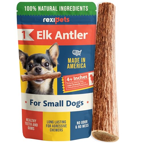 REXIPETS Elchgeweih für kleine Hunde – langlebiges Kauspielzeug für Aggressive Kauer – Elchgeweih Hundegeweih Kauspielzeug – echte Bio-Leckerlis & Spielzeug – natürlich in den USA vergossen REXIPETS Elchgeweih für kleine Hunde – langlebiges Kauspielzeug für Aggressive Kauer – Elchgeweih Hundegeweih Kauspielzeug – echte Bio-Leckerlis & Spielzeug – natürlich in den USA vergossen von REXIPETS