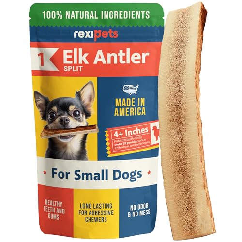 REXIPETS Geteiltes Elchgeweih für kleine Hunde, Güteklasse A, langlebiges Kauspielzeug für aggressive Kauer, Elchgeweih, Kauspielzeug für Hunde, echte Bio-Leckerlis und Spielzeug, natürlich in den USA von REXIPETS