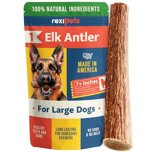 REXIPETS Großes Elchgeweih für Hunde – langlebige Kauartikel für aggressive Kauer – Natürliche, echte Hundeleckerlis & Spielzeug – natürlich in den USA vergossen von REXIPETS