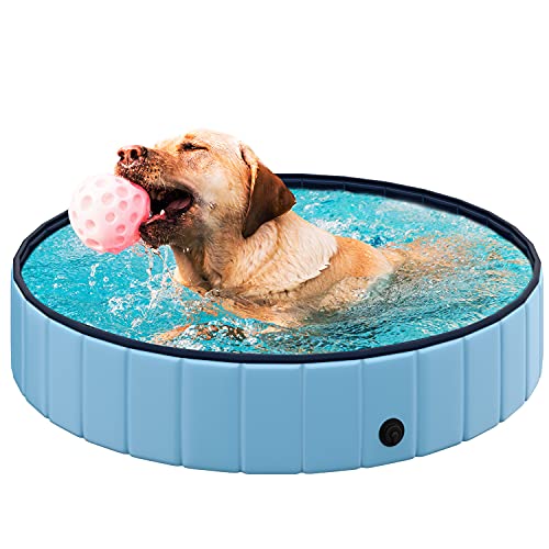 REXOO Hundepool Swimmingpool Hunde Pool Faltbar Hundebad Doggy Plantschbecken Becken Blau ø120 x 30 cm REXOO Hundepool Swimmingpool Hunde Pool Faltbar Hundebad Doggy Plantschbecken Becken Blau ø120 x 30 cm von REXOO