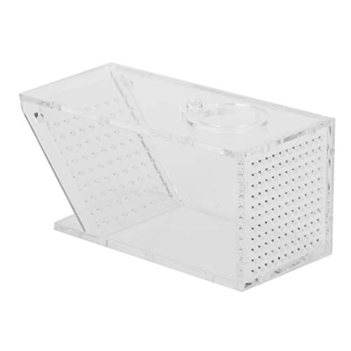 Acryl Crab Trap Catcher Box | EIN Weg Ventildesign für Süßwasserkrabben/Garnelen | Transparentes Fischtank -Zubehör | 6 x 6 x 13 cm sicheres biologisch abbaubares Aquarium von REXVTNS