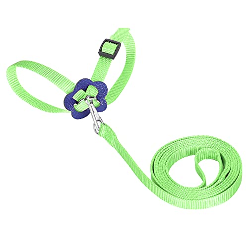 Adjustable Parrot Leash Harness | Nylon Protective - Bite Bird Harness for Outdoor Training | Soft & Secure Chest Strap for Small/Medium Birds | 47.2in Control Rope with Cushion (Green) von REXVTNS