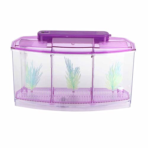 Aquarium Fish Tank Divider | LED Acrylic Breeding Isolation Box for Small Fish/Betta/Guppies | 3 Sections with Water Change Valve & Glowing Plants (Purple) von REXVTNS