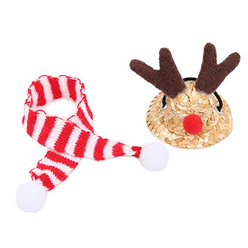 Bärtiger Drachen Santa Hut Schal | Verstellbares Weihnachtskostüm für Reptilien/kleine Haustiere | Weiche Baumwoll- und Strohhalmhut für Urlaubsfotos/Party (Small hat) von REXVTNS