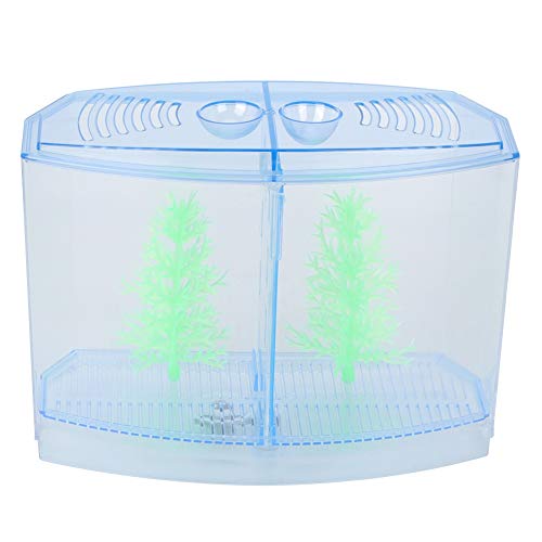 Mini Fish Tank Aquarium | Acrylzüchtungsbox für Fische/Garnelen/Pflanzen | Transparente Beobachtungsplatten mit Trümmerns Groove | 2 Größen (einzeln/doppelt) (Double Grid) von REXVTNS