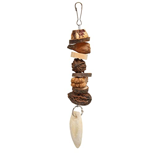 Parrot Chew Toys | Cuttlefish Bone & Nut Logs for Beak Grinding | Hanging Bird Toy for Parrot Cage Accessories | Sturdy & Secure Chew Toy for Birds Parrot Chew Toys | Cuttlefish Bone & Nut Logs for Beak Grinding | Hanging Bird Toy for Parrot Cage Accessories | Sturdy & Secure Chew Toy for Birds von REXVTNS