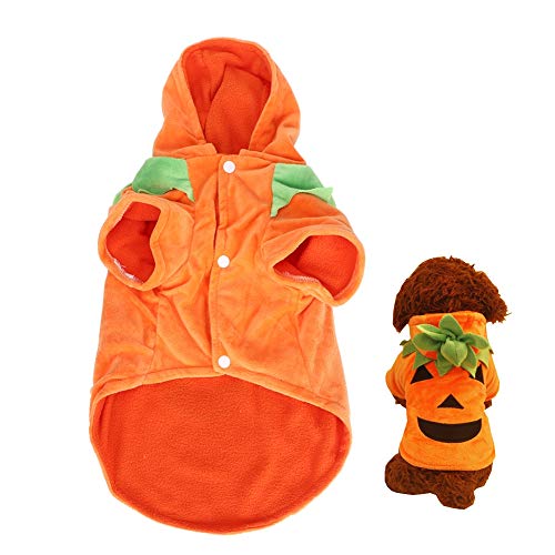 Pumpkin Pet Costume for Dogs & Cats | Shorn Velvet Holiday Cosplay Outfit | Funny Dress Up for Party/Indoor/Outdoor | Buckle Design, XS - XL Sizes (XS) von REXVTNS