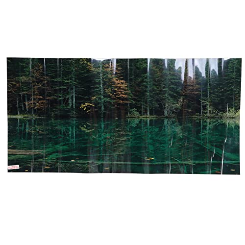 REXVTNS 3D PVC Fish Tank Background Sticker | Lake Reflection Pattern Adhesive Wallpaper | Long - Lasting Aquarium Decoration for Freshwater/Saltwater Enclosures | Water - & Fade - Proof (91 * 50CM) von REXVTNS