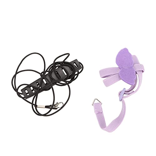 REXVTNS Bird Harness Leash with Feathered Wings | Comfortable & Strong for Parakeets/Cockatiels | 2M Traction Rope for Outdoor Training | Lightweight Polyester Design (Violet) von REXVTNS
