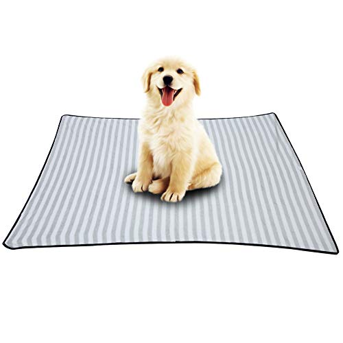 REXVTNS Double Sided Plush Pet Blanket | Exceptionally Soft & Warm Sleeping Mat for Cats/Small Dogs | Reversible Design, Easy Wash | 3 Sizes & 2 Colors (M) von REXVTNS