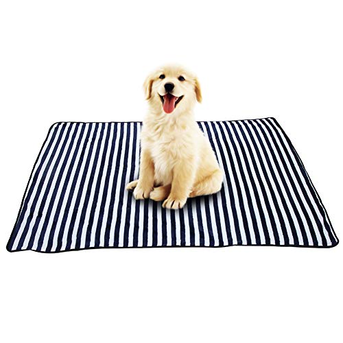 REXVTNS Double Sided Plush Pet Blanket | Exceptionally Soft & Warm Sleeping Mat for Cats/Small Dogs | Reversible Design, Easy Wash | 3 Sizes & 2 Colors (M) von REXVTNS