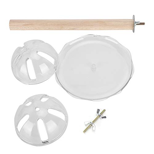 REXVTNS Parrot Foraging Toy | Bite Resilient Acrylic Ball & Wood Stand | Intelligence Training Toys for Birds/Cockatiels/Conures | Sturdy Pet Feeding & Play Combo von REXVTNS