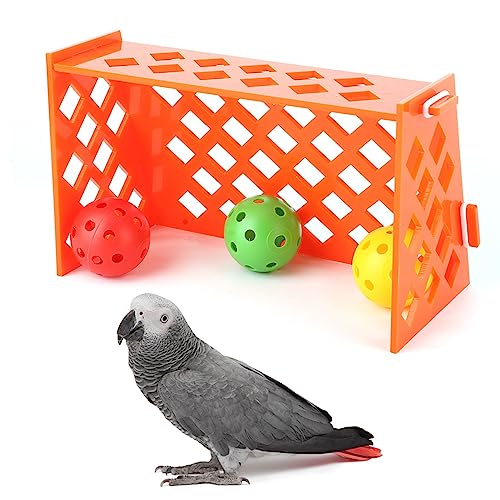 REXVTNS Parrot Mini Soccer Toy | Bird Training & Intelligence Development | Desktop Football Field for Parrots/Small Birds | Sturdy Plastic von REXVTNS