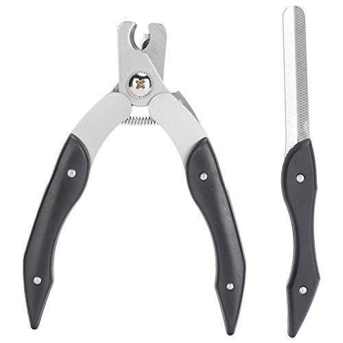 REXVTNS Pet Nail Clipper & Trimmer | Stainless Steel Blades for Accurate Cutting | Secure Grip Handle for Dogs/Cats | Includes Nail File for Complete Grooming REXVTNS Pet Nail Clipper & Trimmer | Stainless Steel Blades for Accurate Cutting | Secure Grip Handle for Dogs/Cats | Includes Nail File for Complete Grooming von REXVTNS