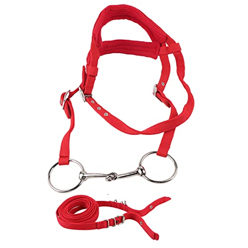REXVTNS Verstellbarer Pferdes Zaumung mit weichem Kissen | Double - Layer Reinness Headstall | Komfort geeignet für Training/Reiten/Show | Robustes PP -Material, plattiertes Ringbit | von REXVTNS