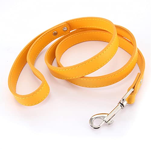 16 Farben Hundeleine Soild Color Leather Pet Walking Trainingsleinen for Kleine Mittelgroße Hunde Katze In Halsband Und Geschirr 120 cm (Color : Gold, Size : S 1.5CM-120CM) von REYNEM