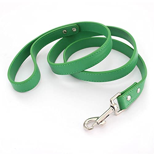 16 Farben Hundeleine Soild Color Leather Pet Walking Trainingsleinen for Kleine Mittelgroße Hunde Katze In Halsband Und Geschirr 120 cm (Color : Green, Size : S 1.5CM-120CM) von REYNEM