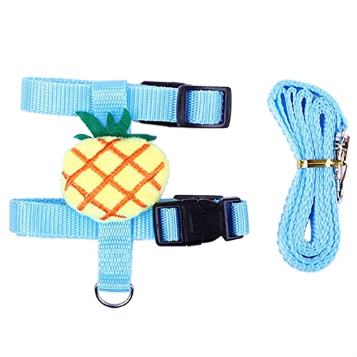 Häschen-Geschirr-Leine-Kaninchen-Kostüm-Kleintier-im Freien Zu Fuß Niedliche Kleidung (Color : Pineapple, Size : M) von REYNEM