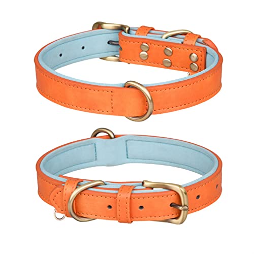 Hundehalsband Aus Leder, Gepolstertes Hundehalsband, Verstellbares Hundehalsband, Stark, Langlebig, for Kleine, Mittelgroße Hunde, Pet Shop Bulldog (Color : Orange, Size : XS 32X1.5cm) von REYNEM