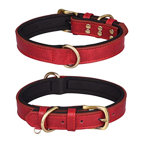Hundehalsband Aus Leder, Gepolstertes Hundehalsband, Verstellbares Hundehalsband, Stark, Langlebig, for Kleine, Mittelgroße Hunde, Pet Shop Bulldog (Color : Red, Size : XS 32X1.5cm) von REYNEM