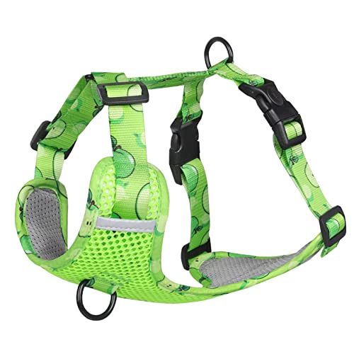 Kein Ziehen Hundegeschirr Weste for Mittelgroße Hunde Niedliches Fruchtdruck-Gurtband Großes Hundegeschirr Atmungsaktives Mesh-Brustgurt Heimtierbedarf (Color : Green, Size : XL) von REYNEM