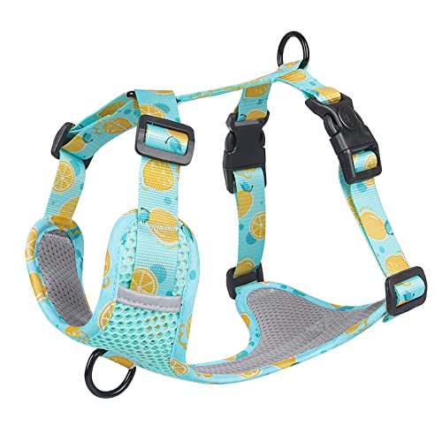 Kein Ziehen Hundegeschirr Weste for Mittelgroße Hunde Niedliches Fruchtdruck-Gurtband Großes Hundegeschirr Atmungsaktives Mesh-Brustgurt Heimtierbedarf (Color : Light Blue, Size : S) von REYNEM