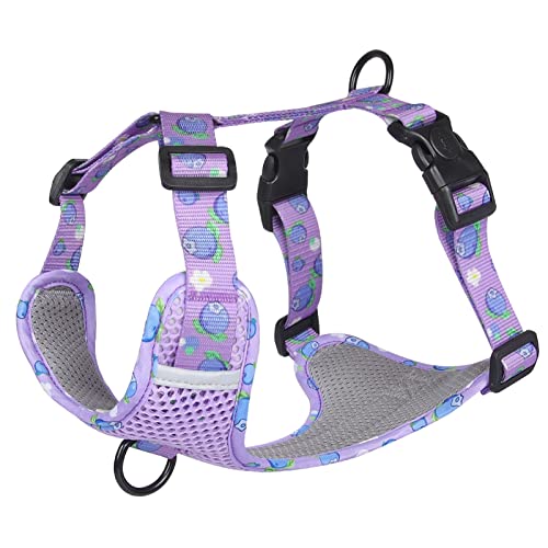 Kein Ziehen Hundegeschirr Weste for Mittelgroße Hunde Niedliches Fruchtdruck-Gurtband Großes Hundegeschirr Atmungsaktives Mesh-Brustgurt Heimtierbedarf (Color : Purple, Size : S) von REYNEM