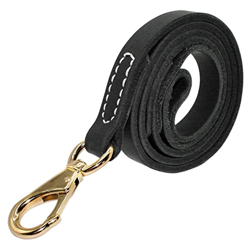 Leder-Hundeleine for Große Hunde, Haustier-Laufleine, Trainingsleine, 110 cm Länge, Breite 1,6/2,0 cm, Schwarz, Braun (Color : Black, Size : M) von REYNEM