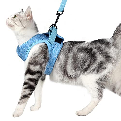 Leine Geschirr Katze Hund Einfarbiger Brustgurt Elastisch Wandern Kleintierbedarf (Color : Sky Blue, Size : M) von REYNEM