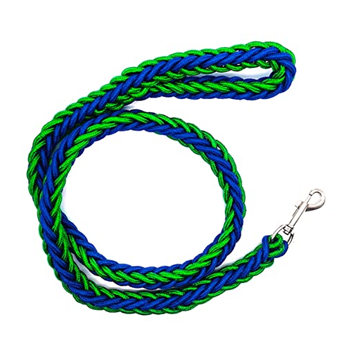 Nylon-Hundegeschirr-Leine for Mittelgroße Hunde Führt Haustiertraining, Laufen, Gehen, Sicherheit, Bergsteigen, Hundeleinen, Seilversorgung (Color : Green Blue, Size : Diameter 2.0CM) von REYNEM