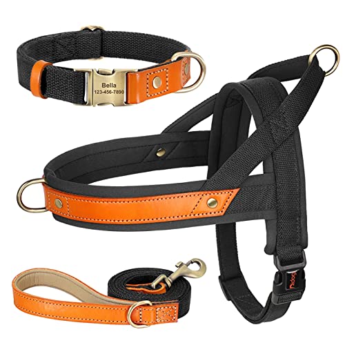 Nylon-Hundehalsband-Geschirr-Leine-Set, Kein Ziehen, Leder, Welpen-Hundegeschirr, Haustierweste, Gurt for Kleine, Mittelgroße Hunde, Französische Bulldogge (Color : Black 3 Set, Size : L) von REYNEM