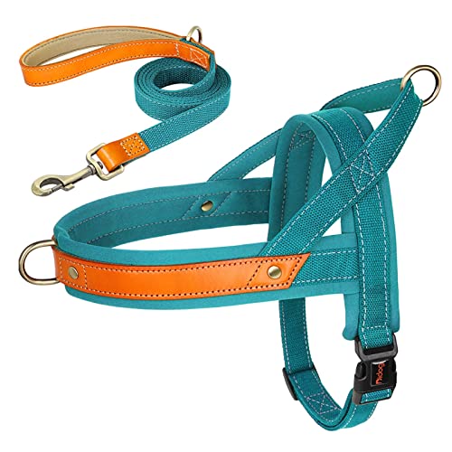 Nylon-Hundehalsband-Geschirr-Leine-Set, Kein Ziehen, Leder, Welpen-Hundegeschirr, Haustierweste, Gurt for Kleine, Mittelgroße Hunde, Französische Bulldogge (Color : Blue 2 Set, Size : XS) von REYNEM