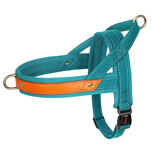 Nylon-Hundehalsband-Geschirr-Leine-Set, Kein Ziehen, Leder, Welpen-Hundegeschirr, Haustierweste, Gurt for Kleine, Mittelgroße Hunde, Französische Bulldogge (Color : Blue Harness, Size : M) von REYNEM