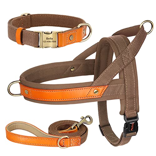 Nylon-Hundehalsband-Geschirr-Leine-Set, Kein Ziehen, Leder, Welpen-Hundegeschirr, Haustierweste, Gurt for Kleine, Mittelgroße Hunde, Französische Bulldogge (Color : Brown 3 Set, Size : M) von REYNEM