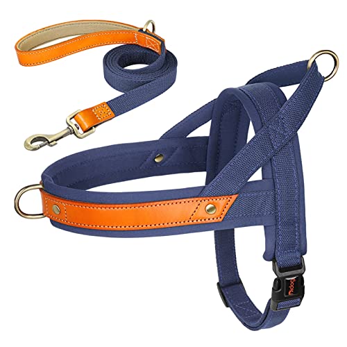 Nylon-Hundehalsband-Geschirr-Leine-Set, Kein Ziehen, Leder, Welpen-Hundegeschirr, Haustierweste, Gurt for Kleine, Mittelgroße Hunde, Französische Bulldogge (Color : Dark Blue 2 Set, Size : L) von REYNEM